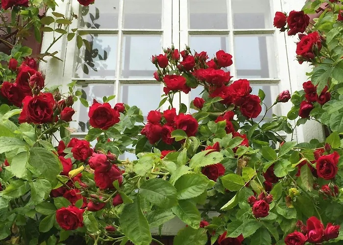 Holiday home Charming From 1919 Near Kristiansund