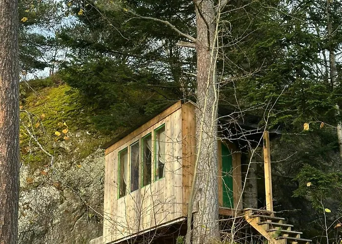 Charming From 1919 Near